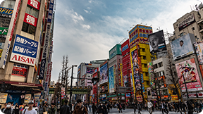 27階シノワ唐紅花&鉄板フレンチ蒔絵