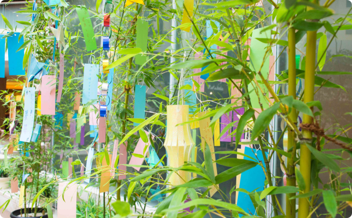 夏　星に願いを