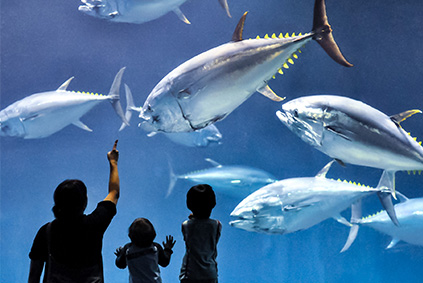 葛西臨海水族園