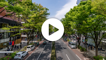 渋谷・原宿・表参道