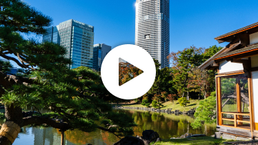 浜離宮恩賜庭園