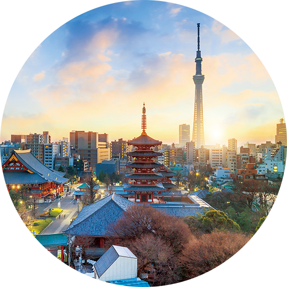 日本物の審美眼